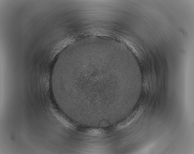 X0000113010402200909031318