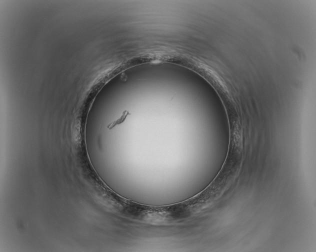 X0000113010403200909031318