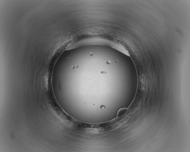 X0000113010404200909031318