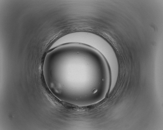 X0000113010405200909031318