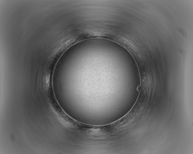 X0000113010406200909031318