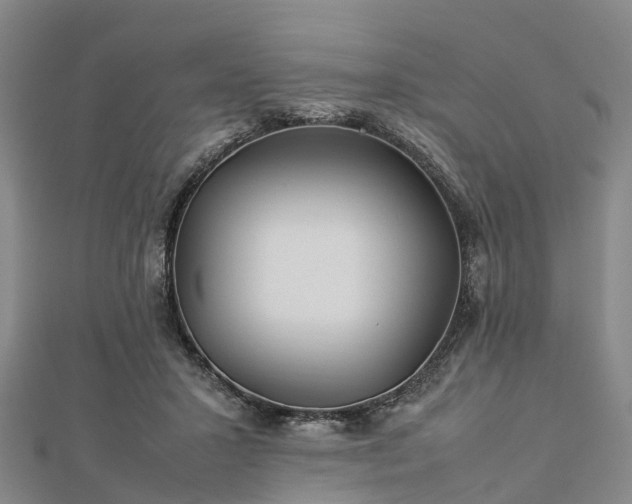 X0000113010407200909031318