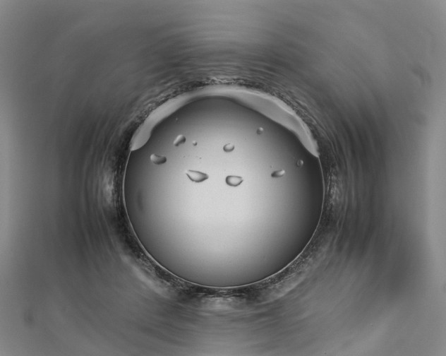 X0000113010408200909031318