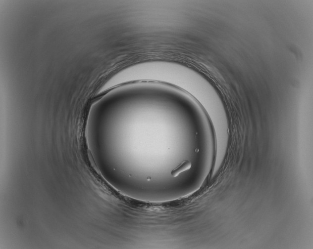 X0000113010409200909031318