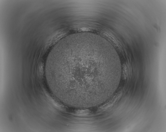 X0000113010410200909031318