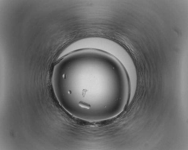 X0000113010411200909031318