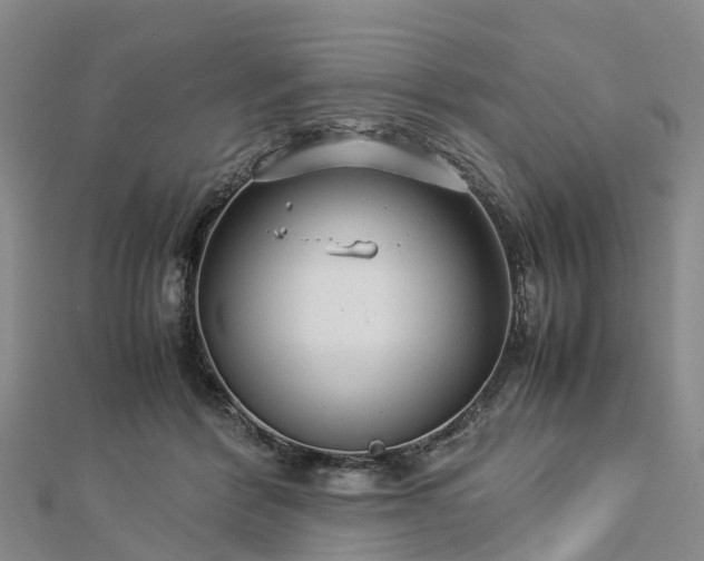 X0000113010412200909031318