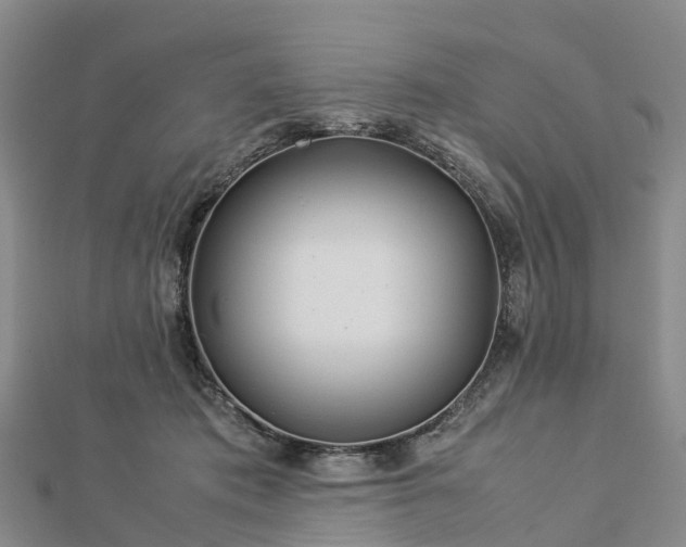 X0000113010413200909031318