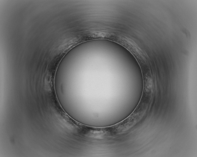 X0000113010414200909031318