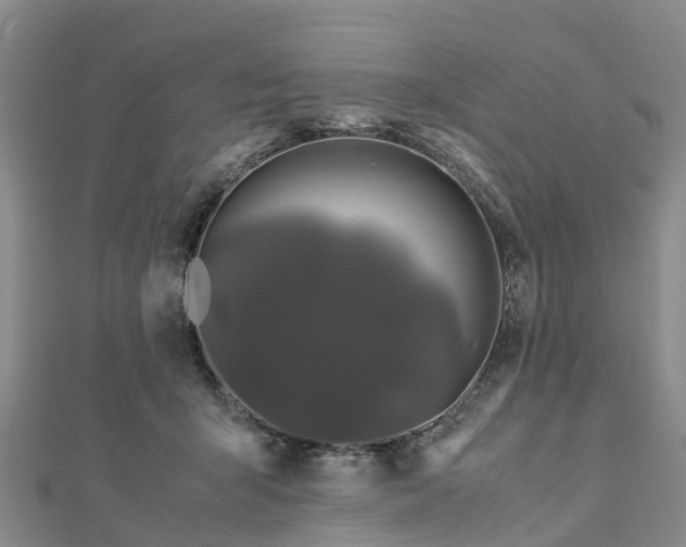 X0000113010415200909031318