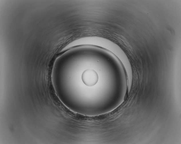 X0000113010416200909031318