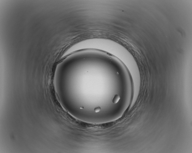 X0000113010417200909031318