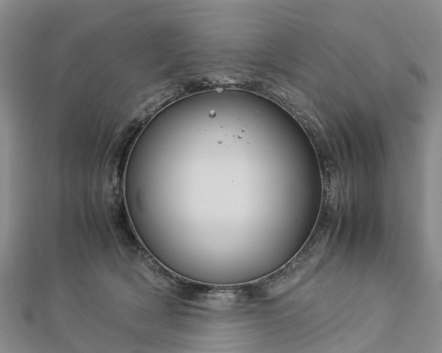 X0000113010418200909031318