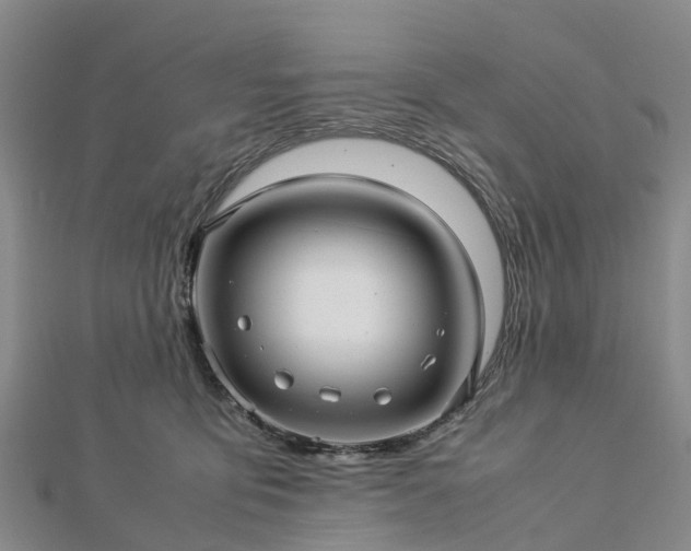 X0000113010419200909031318