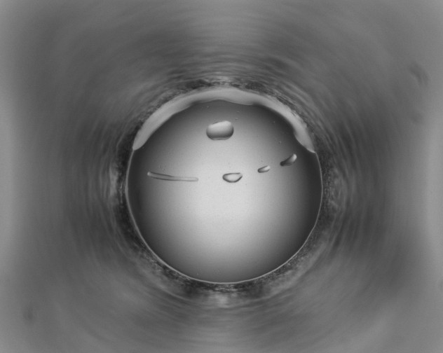 X0000113010420200909031318