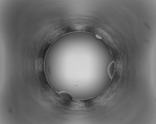 X0000113010421200909031318