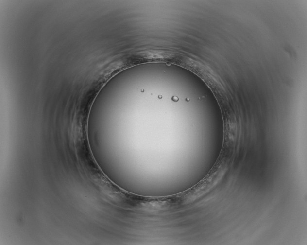 X0000113010422200909031318