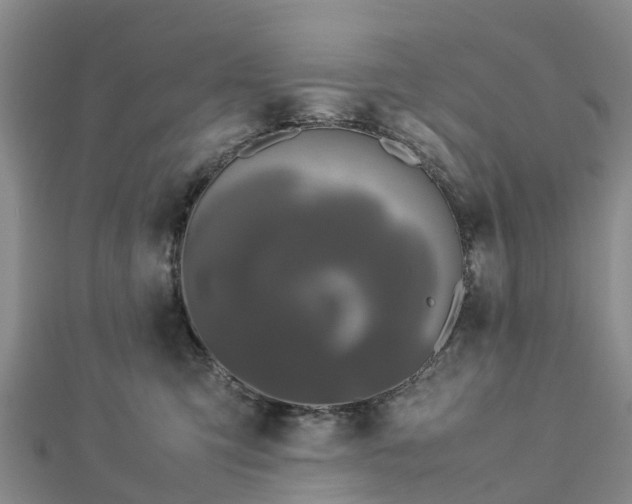 X0000113010423200909031318