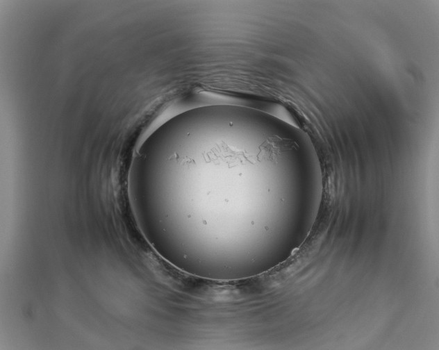 X0000113010424200909031318