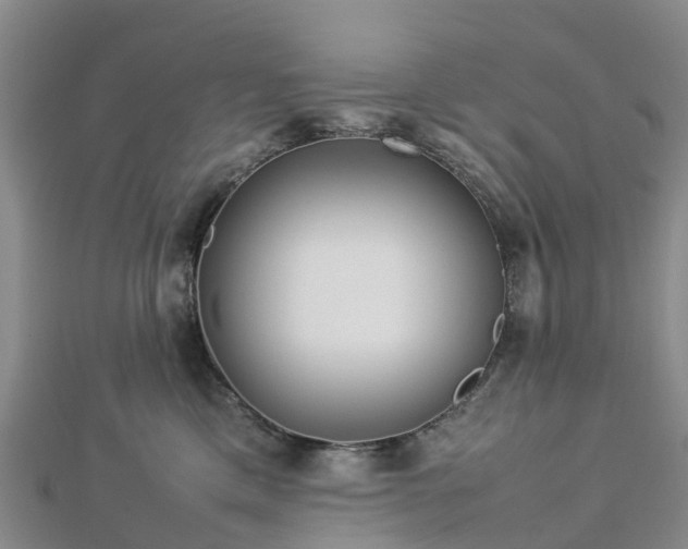 X0000113010425200909031318