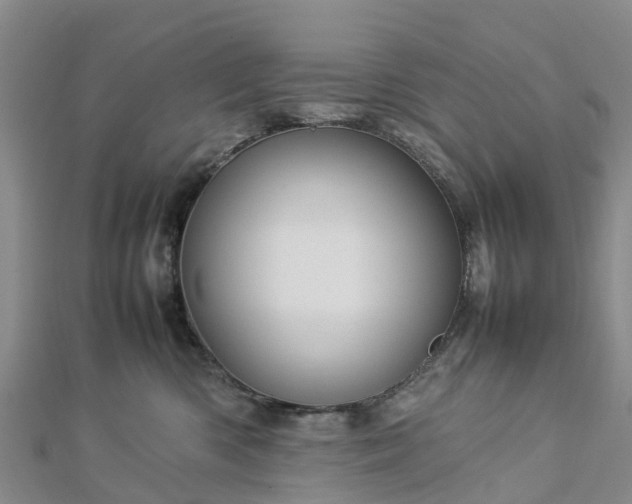 X0000113010426200909031318