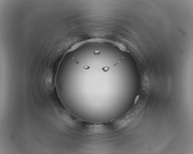 X0000113010428200909031318