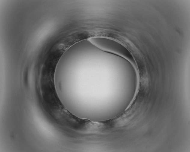 X0000113010429200909031318