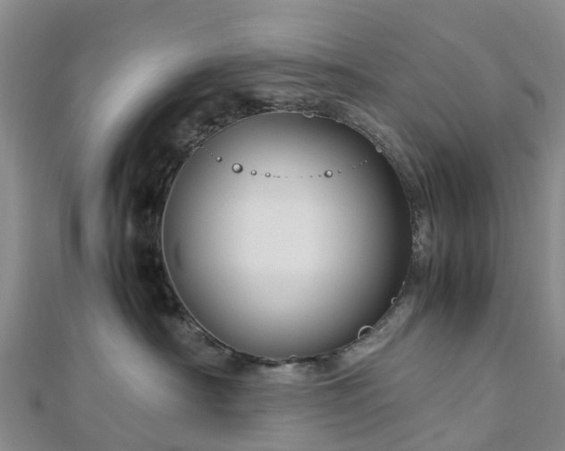 X0000113010430200909031318