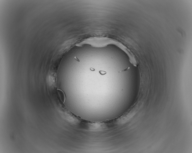 X0000113010432200909031318