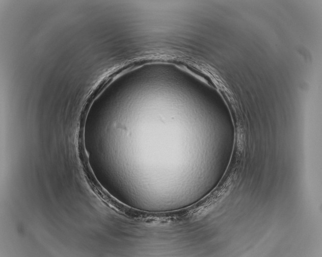 X0000113010434200909031317