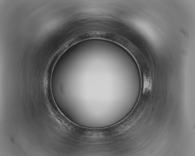 X0000113010435200909031317