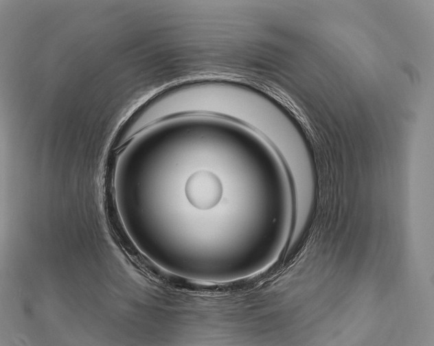 X0000113010436200909031317