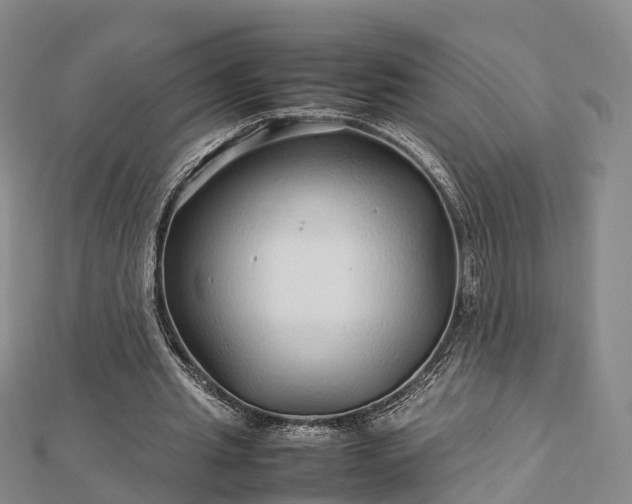 X0000113010437200909031317