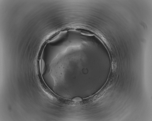 X0000113010438200909031317