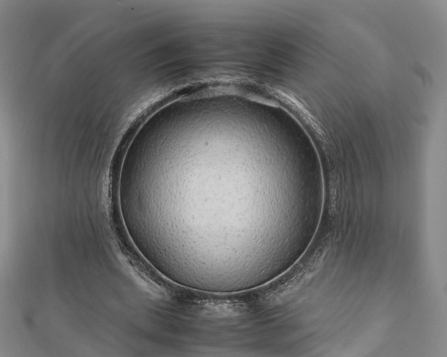 X0000113010439200909031317