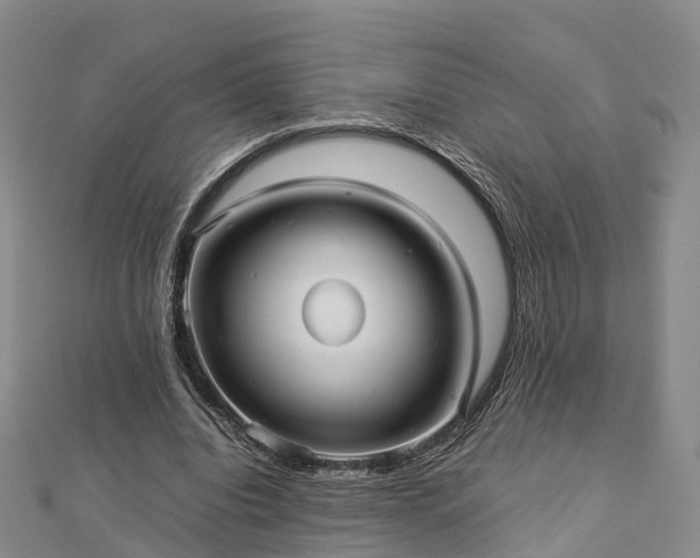 X0000113010440200909031317