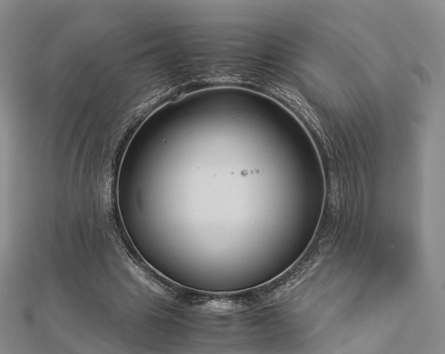 X0000113010441200909031317