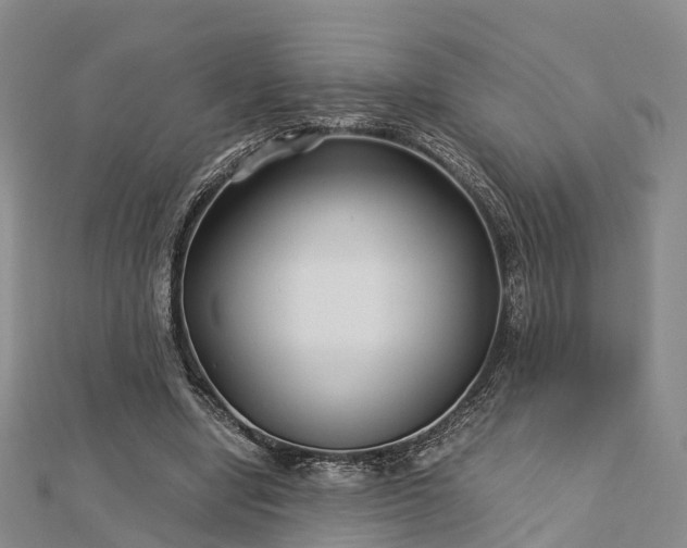 X0000113010442200909031317