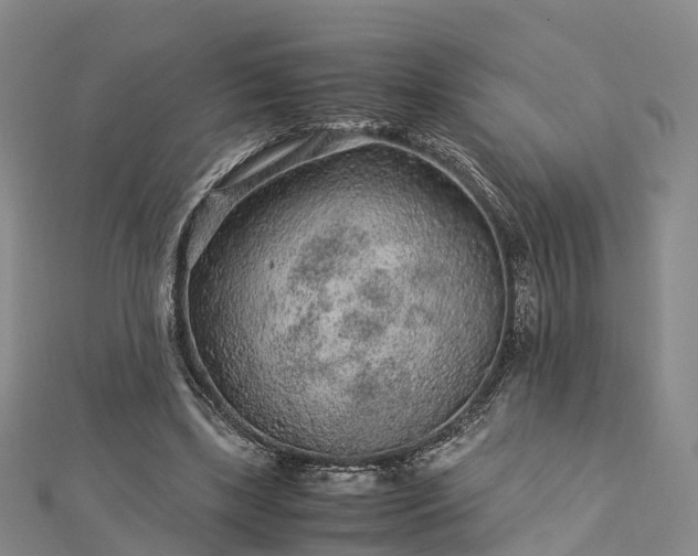 X0000113010443200909031317