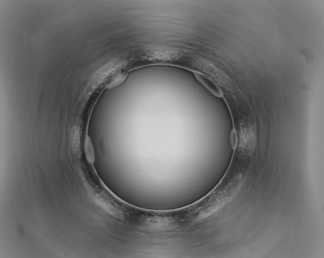 X0000113010444200909031317