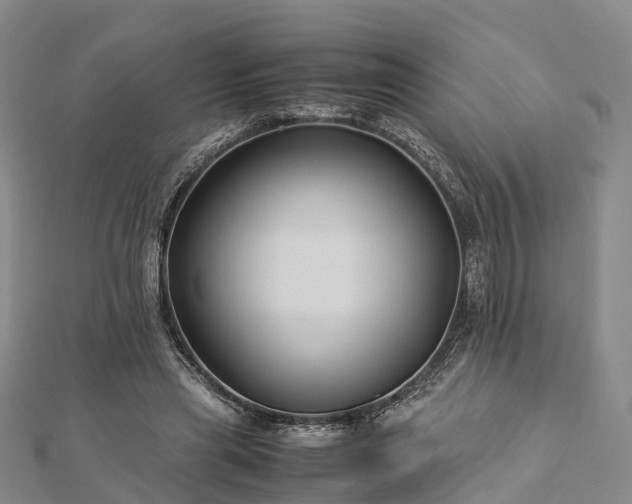 X0000113010445200909031317