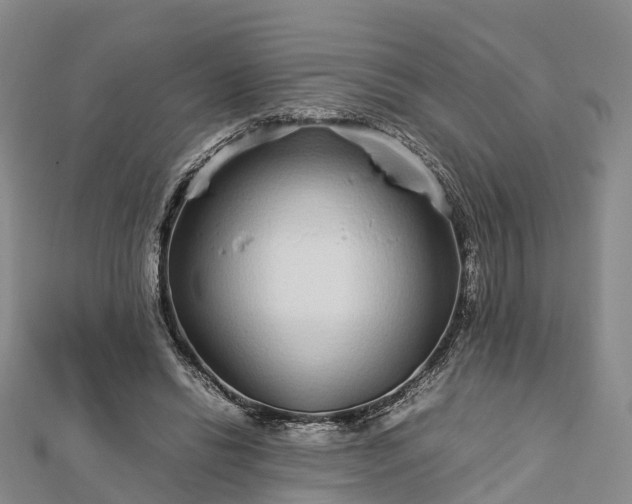 X0000113010446200909031317