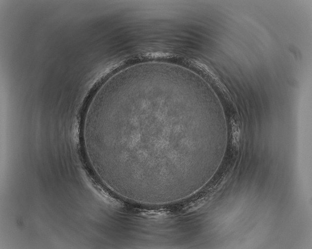 X0000113010447200909031317