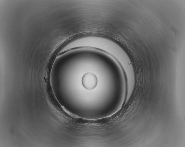 X0000113010448200909031317