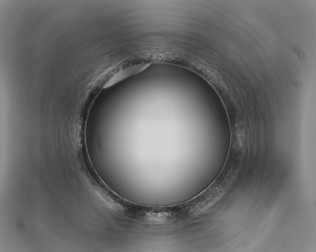 X0000113010450200909031317