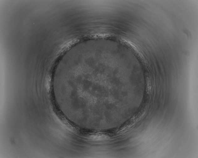 X0000113010451200909031317