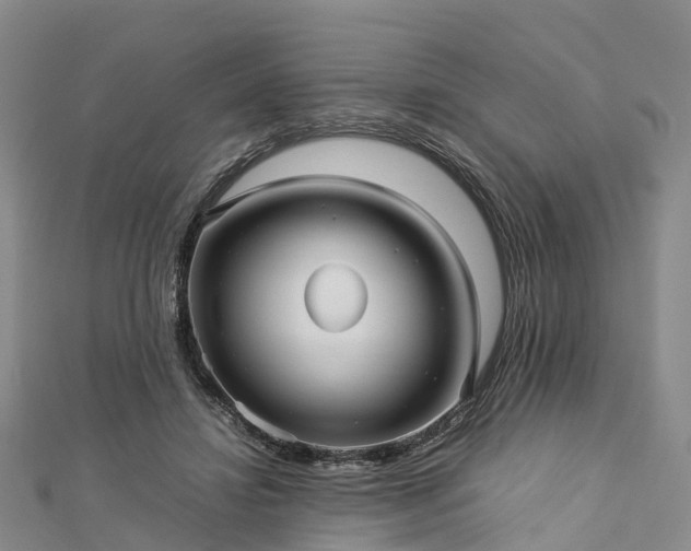 X0000113010452200909031317