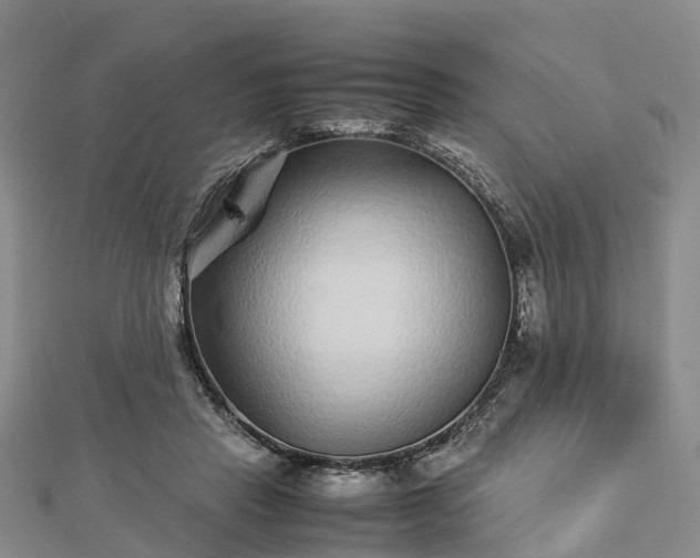 X0000113010453200909031317