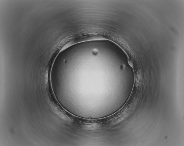 X0000113010454200909031317