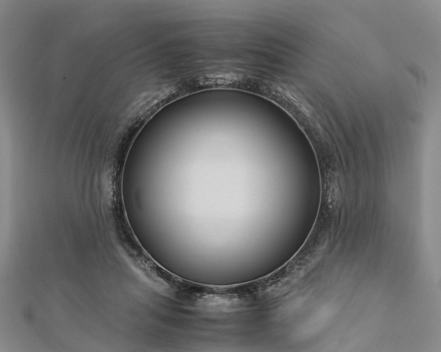 X0000113010455200909031317